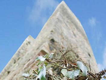 Pflanzen ranken am Baderturm  Foto: Arkadius Guzy