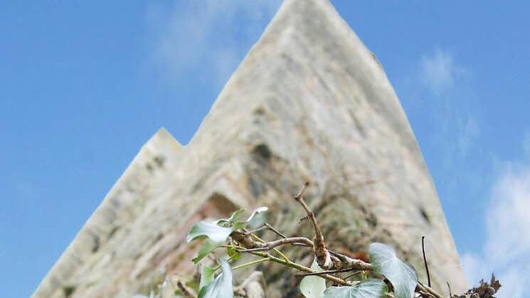 Pflanzen ranken am Baderturm  Foto: Arkadius Guzy