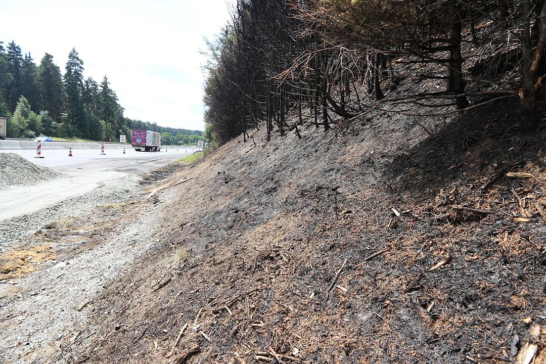Busunglück auf der A9: Die Unfallstelle am Tag nach der Katastrophe