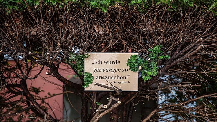 Stadt Erlangen verlangt Busch-Beschneidung - Hotel reagiert mit Humor: "Sch&auml;me mich f&uuml;r diesen Anblick"