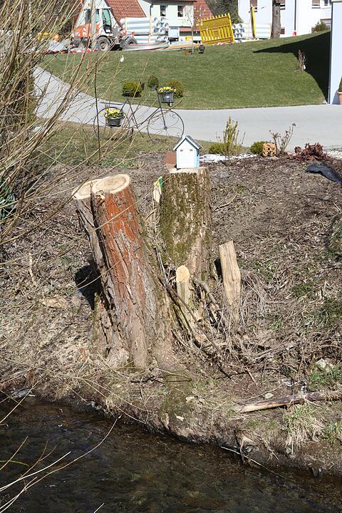 SoS Steinwiesen Lkr. KC; Foto: Barbara Herbst