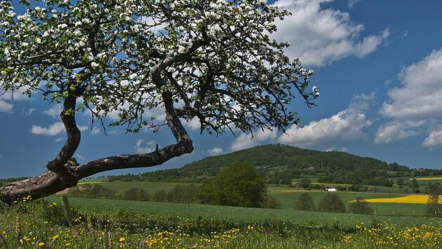Die Rh&ouml;n im Sommerkleid. Die Coronapandemie macht sich in der hiesigen Tourismusbranche bemerkbar. Foto: Archiv J&uuml;rgen H&uuml;fner