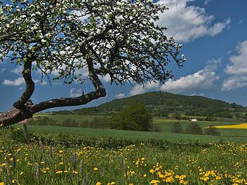 Die Rhön im Sommerkleid. Die Coronapandemie macht sich in der hiesigen Tourismusbranche bemerkbar. Foto: Archiv Jürgen Hüfner