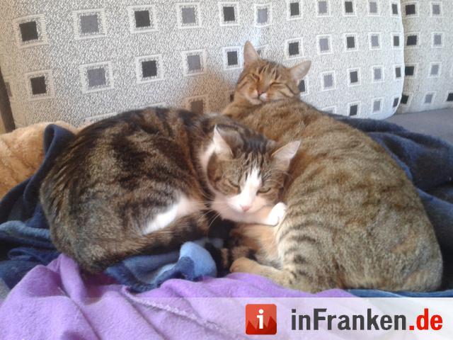 Foto: Kristin Und Melanie Förtsch