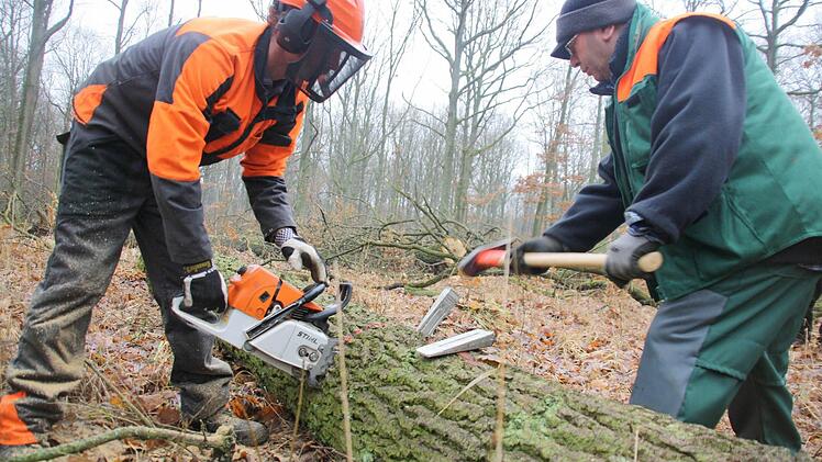 Der eine sägt, der andere spaltet: Bastian Hartner und Bajram Demirezen vom Sulzfelder Bauhof arbeiten Hand in Hand.