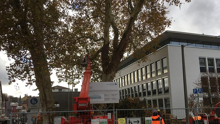 Rund um das Landratsamt. Foto: Ralf Ruppert