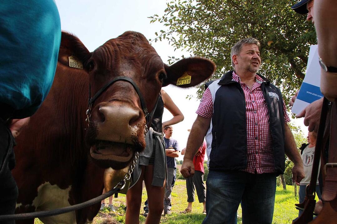 Bad Kissingen: Protest der Milchbauern