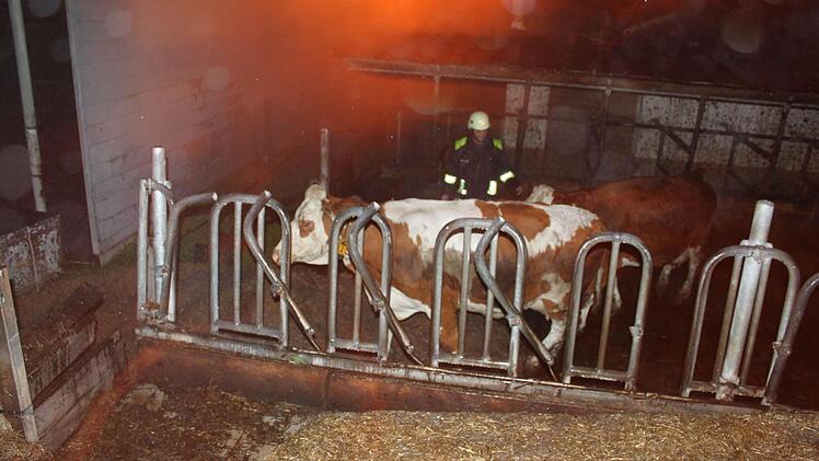 Fotos: Veronika Schadeck