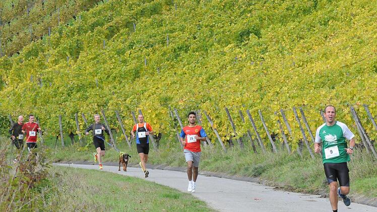 Impressionen vom Weinberglauf des SV Ramsthal.ssp