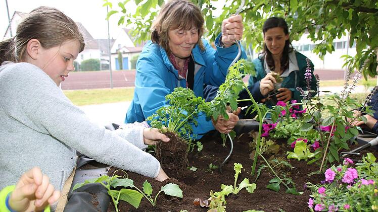 Impressionen vom Pilotprojekt der Kulmbacher Urban-Gardening-Gruppe mit den Melkendorfer Grundschülern Dagmar Besand