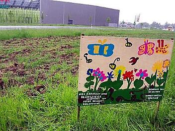 Noch gleicht die neue Blühwiese am Radweg nach Neuses einem Acker. Aber schon bald wird es an dieser Stelle bunt und nahrhaft für Insekten, wie das von den Kindern des Dörfleser Kindergartens gestaltete Plakat verdeutlicht. Foto: Heike Schülein