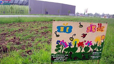 Noch gleicht die neue Blühwiese am Radweg nach Neuses einem Acker. Aber schon bald wird es an dieser Stelle bunt und nahrhaft für Insekten, wie das von den Kindern des Dörfleser Kindergartens gestaltete Plakat verdeutlicht. Foto: Heike Schülein