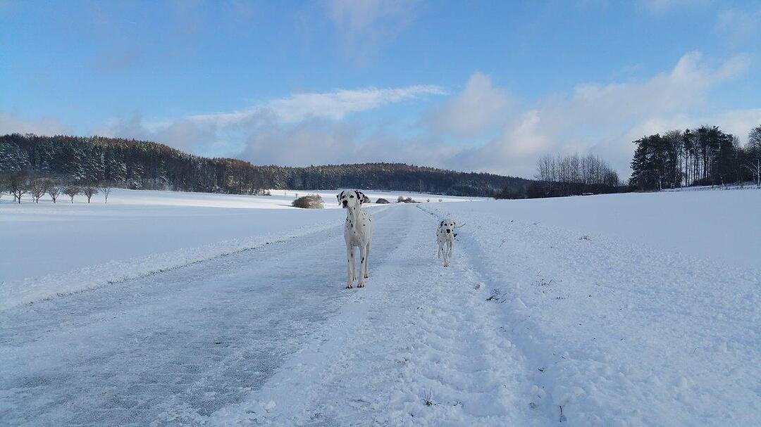 Schnee und Eis - Die schönsten Aufnahmen aus Franken