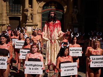 Stierk&auml;mpfe in Spanien - Proteste