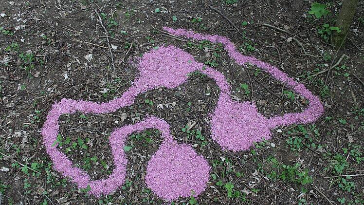 Pilzkultur, 250 x 200 cm, Blüten der Japanischen Kirschblüte