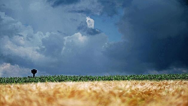 Dunkle Wolken sind über einem Maisfeld: Auf Maisfeldern bahnt sich der Regen oft ungehindert seinen Weg und überflutet dann nagelegene Anwesen. An einem runden Tisch mit allen Beteiligten soll eine Lösung gefunden werden.
