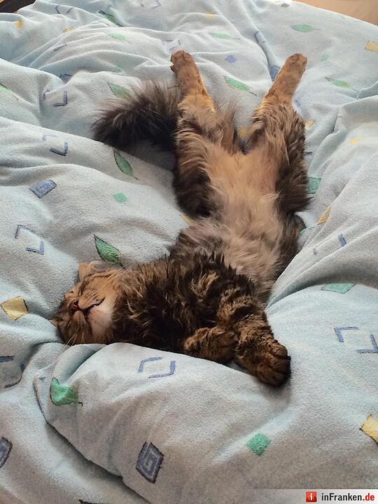 Foto: Samira Jeschek