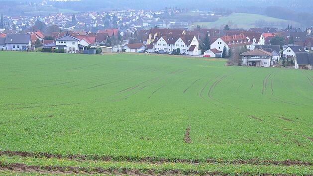 Hier soll das Baugebiet "Zur Docke" entstehen. Foto: Rainer Lutz
