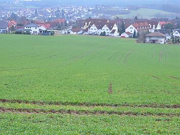 Hier soll das Baugebiet "Zur Docke" entstehen. Foto: Rainer Lutz