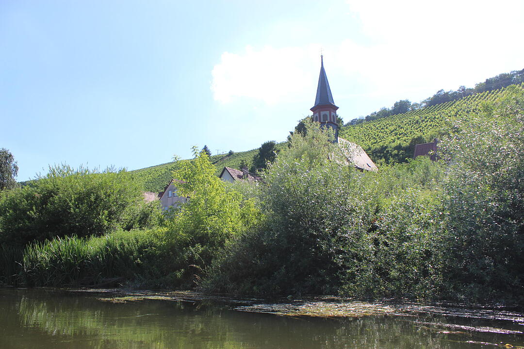 Kanutour auf dem Altmain