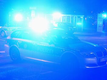 Polizeiauto und Blaulicht (1)