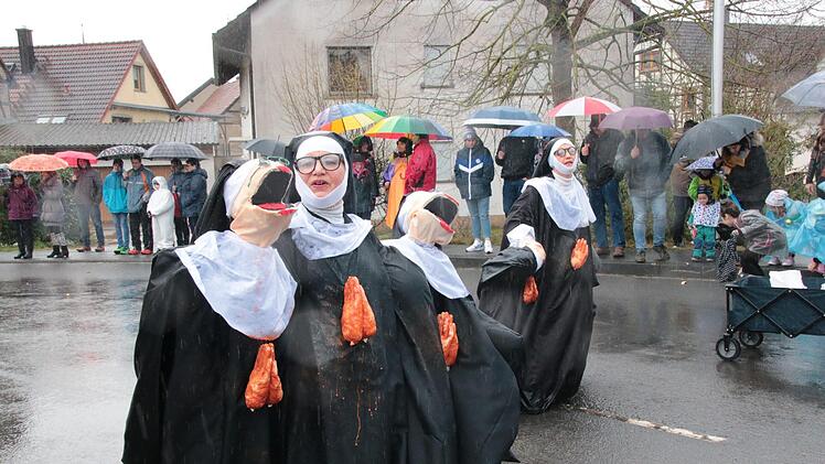 Eindrücke vom Dienbacher Faschingszug 2020. Foto: Ralf Ruppert
