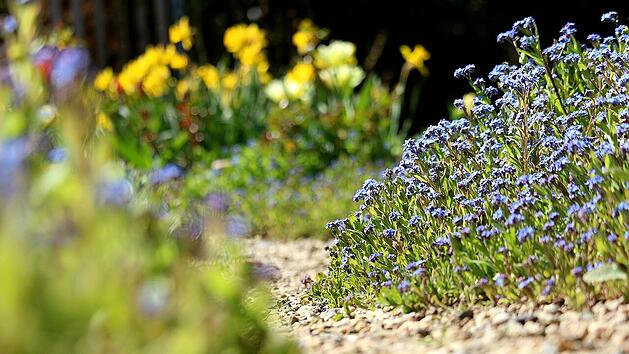 Auf Kieswegen geht es im Botanischen Garten Bamberg an den 9 Themenbeeten vorbei.