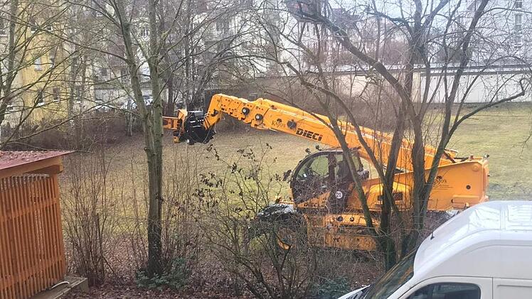 Am Donnerstag ließ die Wohnungsbaugenossenschaft die Bäume umlegen.  Foto: p