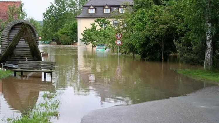 Hochwasser an der Laufer Mühle bei Adelsdorf. Foto: Barbara Ganzmann