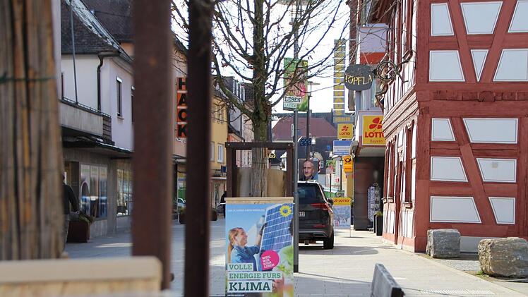 Gut fünf Wochen vor der Kommunalwahl sprießen sie wieder wie Pilze aus dem Boden: Im ganzen Aischgrund reihen sich Wahlplakate aneinander. Foto: Franziska Rieger