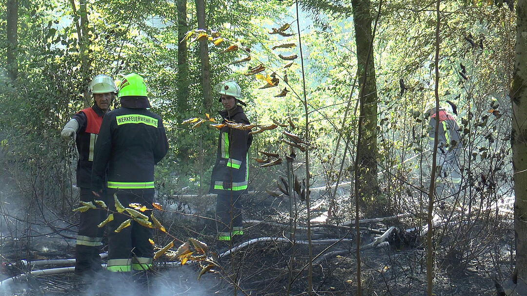 Waldbrand im Kreis Haßberge: Feuerwehr kämpft mit Großaufgebot gegen die Flammen