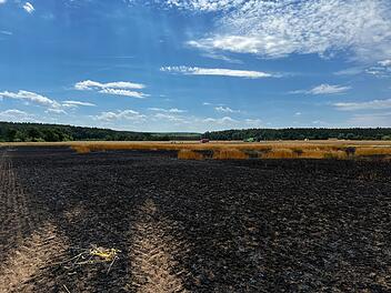R&ouml;bersdorf: Fl&auml;chenbrand im Kreis Bamberg - Kreisbrandrat erkl&auml;rt ungew&ouml;hnlich h&auml;ufiges Ph&auml;nomen