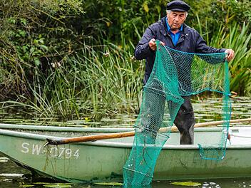 Zwei Barsche und ein Krebs - Hubert Holls magere Ausbeute bei der Nachschau in der Reuse. Foto: Matthias Hoch