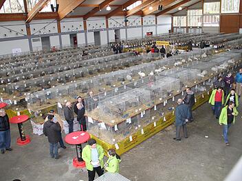 Am Wochenende wurde die Lichtenfelser Stadthalle zum Mekka der oberfränkischen Kaninchenzüchter.Gerda Völk