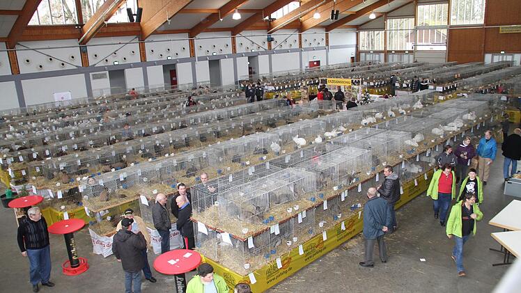 Am Wochenende wurde die Lichtenfelser Stadthalle zum Mekka der oberfränkischen Kaninchenzüchter.Gerda Völk