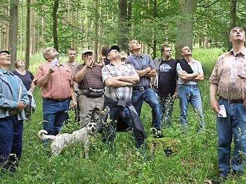 Beim Grenzgang um die Waldkörperschaft Wittighausen erklärten Bürgermeister Franz Kuhn (3.v. links) und 1. Vorsitzender Ernst Hofmann (2.v.r) den Teilnehmern Fragen zu Baumbestand, Forstbetrieb und Grenzverlauf. Foto: Stefan Geiger