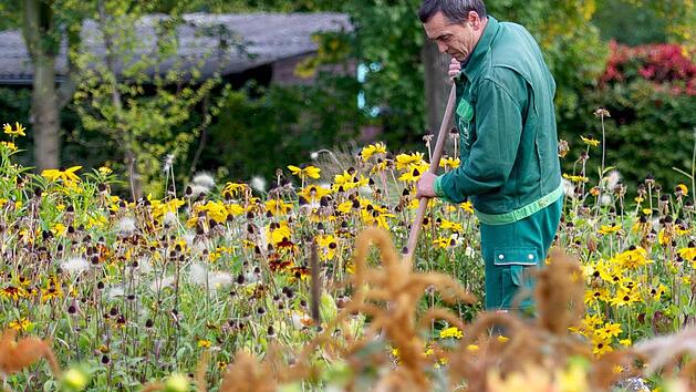 Durch das Anlocken von Nützlingen wie Schweb- oder Florfliegen kann der Befall von Blattsaugern minimiert werden. Foto: Maja Hitij/dpa