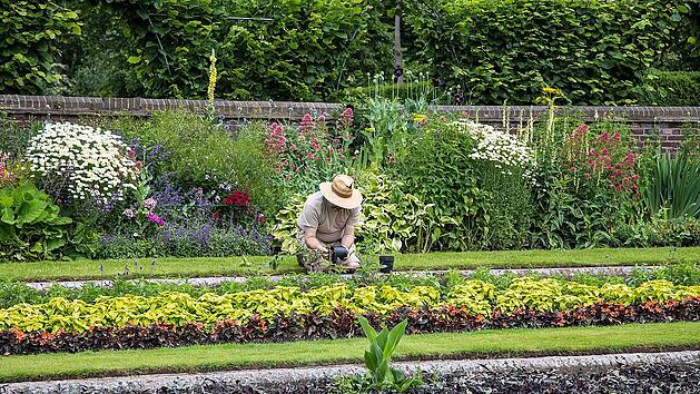 Wer so einen &uuml;ppigen Garten hat, hat sicherlich einen "gr&uuml;nen Daumen".
