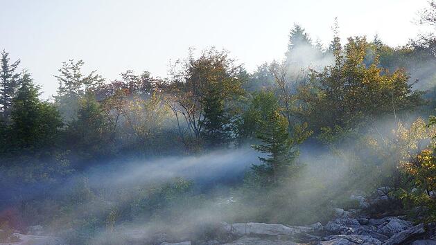 Bei Hannover (Niedersachsen) machte ein Rentner am Sonntag (27. Mai 2018) einen erschreckenden Leichenfund am Wegesrand. Die Beh&ouml;rden untersuchen den Fall nun. Symbolbild: pixabay.com / PickupImage
