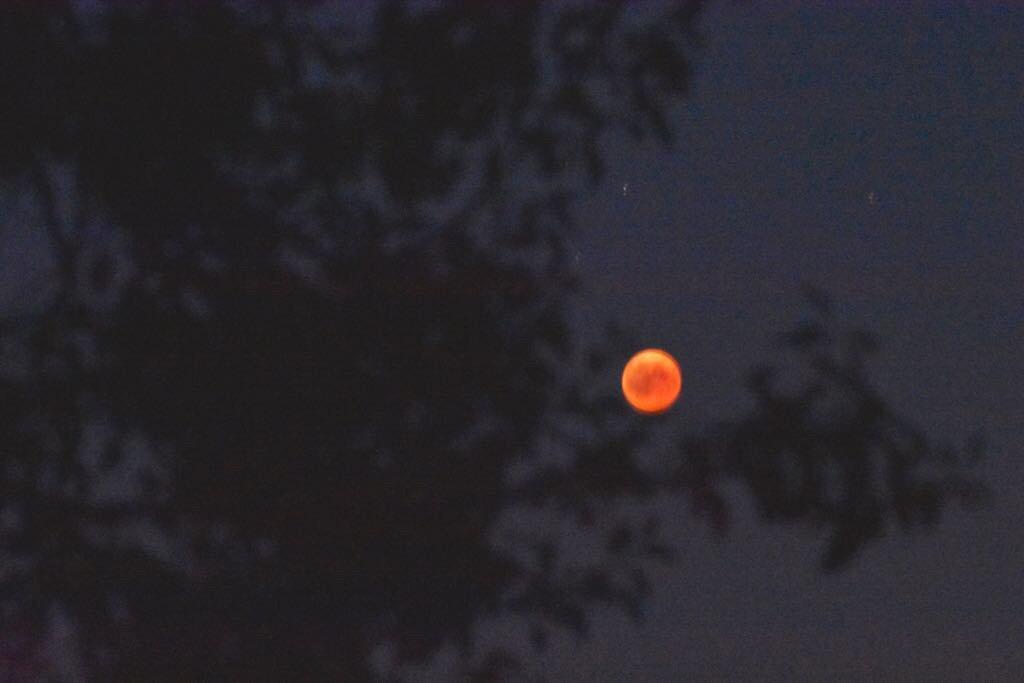 Sommer in Franken: Die schönsten Fotos aus Haßfurt und Umgebung