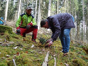 Sponsor Michael Eyrich-Halbig (rechts) und Forstwirt Mario Wolf bei der Pflanzaktion im Gemeindewald von Oberthulba.