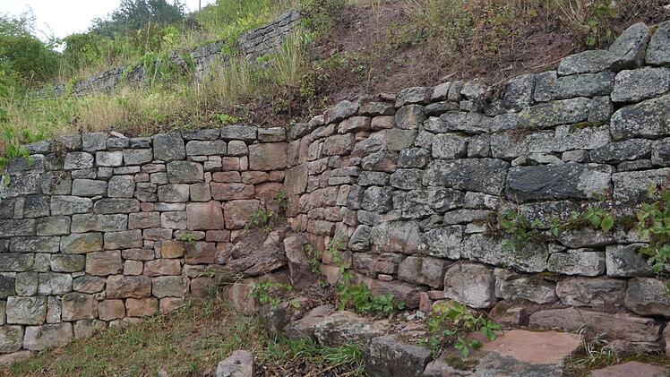 Die historischen Fischgr&auml;t-Terrassen bei Steinbach sollen erhalten und wieder st&auml;rker f&uuml;r den Weinbau genutzt werden.