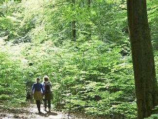 Am Wochenende sind Wandertage in Weißenbrunn. Die Naturfreunde können zwischen zwei Routen wählen. Symbolfoto: dpa