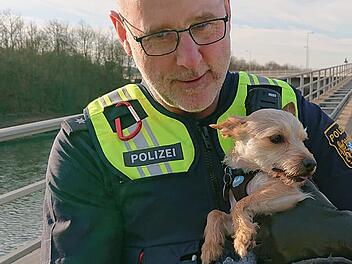 Polizei rettet entlaufenen Hund in Fürth