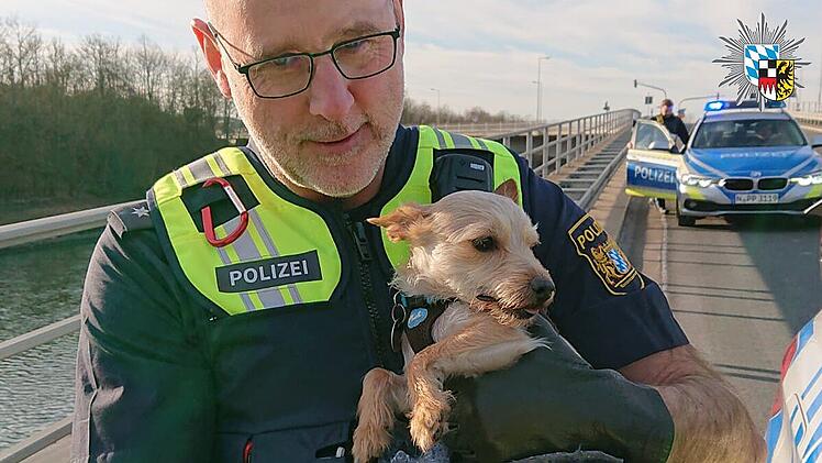 Polizei rettet entlaufenen Hund in Fürth