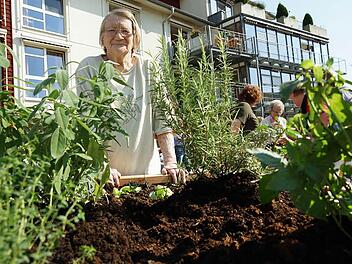 Helena Bohn an einem der drei Hochbeete Fotos: Arkadius Guzy