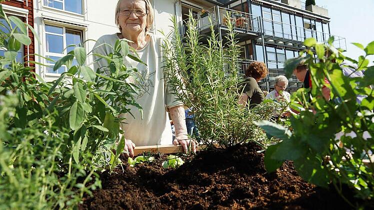 Helena Bohn an einem der drei Hochbeete Fotos: Arkadius Guzy