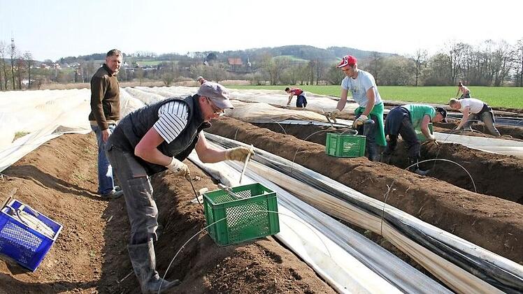 Dank des warmen Märzwetters und einer ausgeklügelten Folientechnik hat auch in Oberfranken die Spargelsaison bereits begonnen: Der Hofladen in Rothwind ist täglich von 8 bis 19 Uhr geöffnet. Auch samstags und sonntags. Geerntet wird der Spargel bis Mitte Juni. Fotos: Sonny Adam