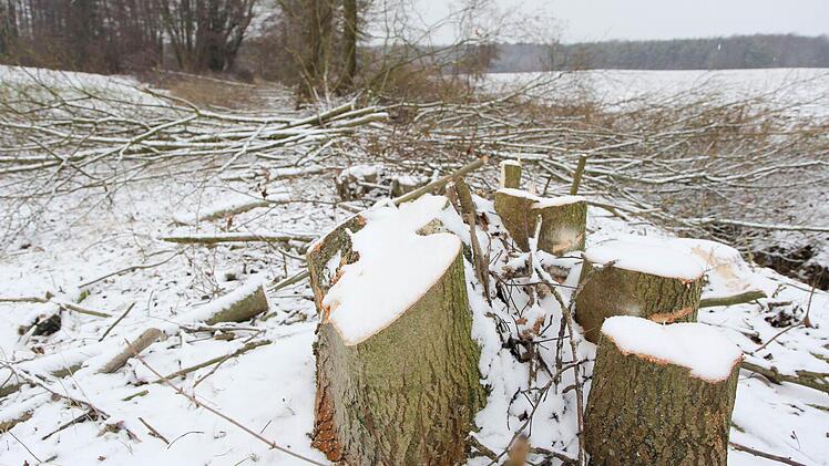 "Am Vogelgraben" wurde ein Abschnitt einer Feldhecke gefällt. Foto: Michael Gründel