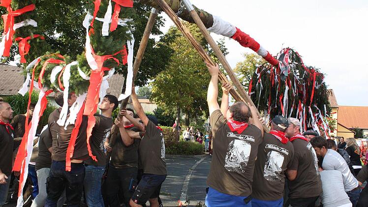 Gemeinsam packten die Burschen und Madla mit an. Der Baum stand innerhalb einer knappen Stunde. Foto: Sonja Werner